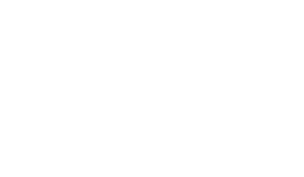 Damyller
